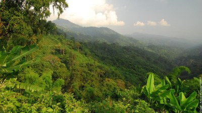 Ten anti-corruption take-aways from Forest Legality Week