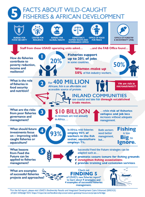 Five Facts About Wild-Caught Fisheries & African Development