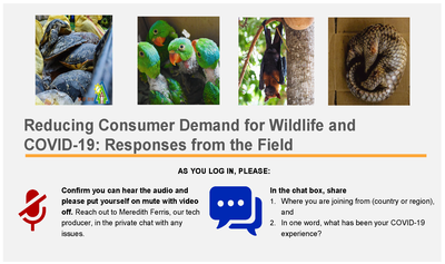 Webinar: Demand Reduction and COVID-19 Response