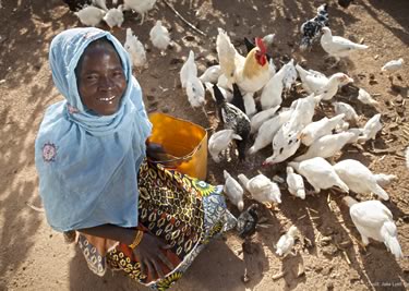 USAID Natural Resource Management and Development Portal