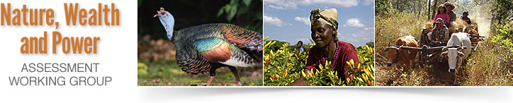 Nature, Wealth and Power Working Group