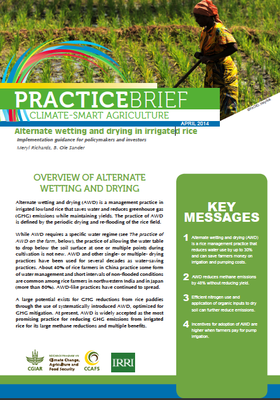 Alternate wetting and drying in irrigated rice: Implemntation guidance for policymakers and investors
