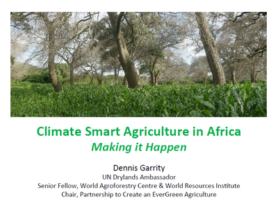  Climate-Smart Agriculture in Africa: Making it Happen 