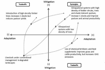  Climate-smart landscapes- opportunities and challenges for integrating adaptation and mitigation in tropical agriculture