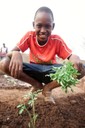 A student proudly displays one of his tomato transplants during an afternoon at the Kabacoto “Feeding the Future” School Garden in Senegal (Feed the Future photo contest).