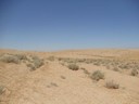Rangeland Management - Jordan
