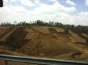 Terracing in Ethiopia