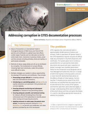 Addressing corruption in CITES documentation processes