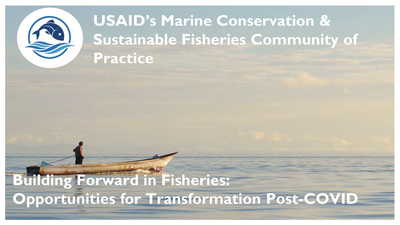 Webinar Presentation—Building Forward in Fisheries: Opportunities for Transformation Post-COVID
