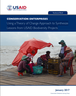 Conservation Enterprises: Using a Theory of Change Approach to Synthesize Lessons from USAID Biodiversity Projects