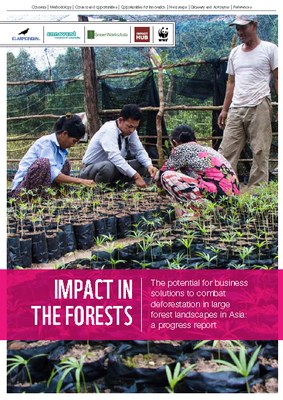 Impact in the Forest: The Potential for Business Solutions to Combat Deforestation in Large Forest Landscapes in Asia