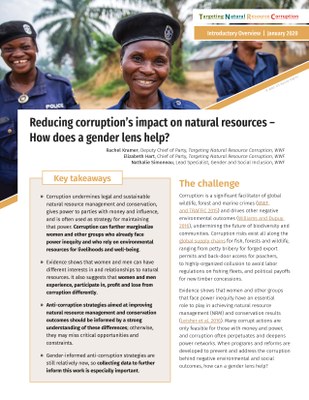 Reducing corruption’s impact on natural resources: How does a gender lens help?