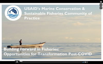 Webinar Recording—Building Forward in Fisheries: Opportunities for Transformation Post-COVID 