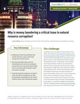 Why is money laundering a critical issue in natural resource corruption?