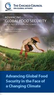 Advancing Global Food Security in the Face of a Changing Climate
