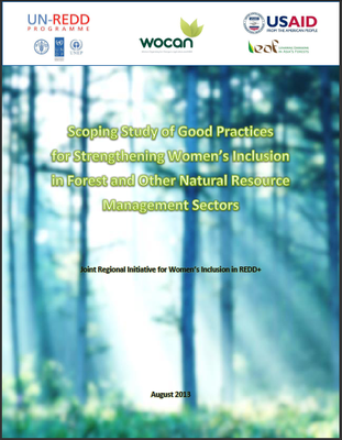 Scoping Study of Good Practices for Strengthening Women’s Inclusion in Forest and Other Natural Resource Management Sectors: Joint Regional Initiative for Women’s Inclusion in REDD+