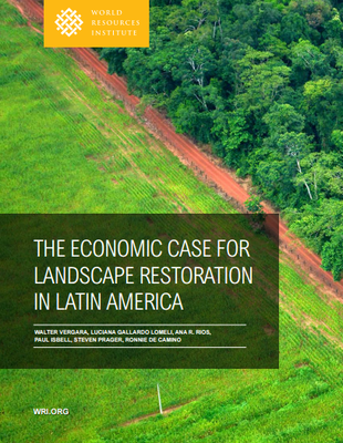 The Ecomonic Case for Landscape Restoration in Latin America