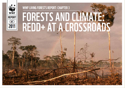  WWF Living Forests Report: Chapter 3