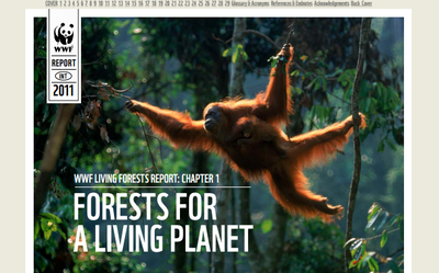 WWF's Living Forest Report: Chapter 1