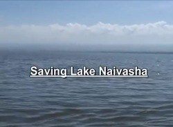 Lake Naivasha Payment for Environmental Services - Farmers Helping Farmers and the Environment 