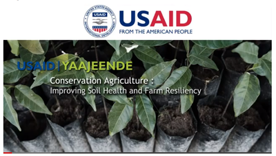 Conservation Agriculture and Bioreclamation of Degraded Lands in Senegal: restoring productivity and resilience of degraded lands to improve nutrition and women's incomes