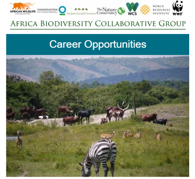 ABCG Career Opportunities February 2019