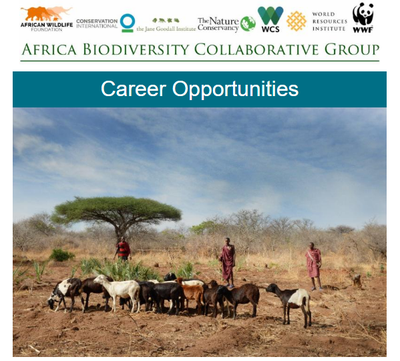 ABCG Career Opportunities February, 2020