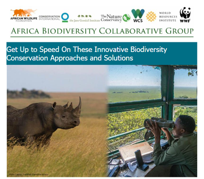 Get Up to Speed On These Innovative Biodiversity Conservation Approaches and Solutions