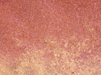 Acre Sawmill Purple heart Dust