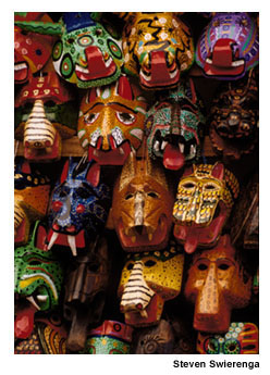 15 Swierenga_masks